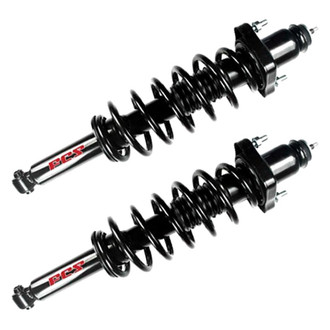 FCS® - Rear Complete Strut Assembly Set