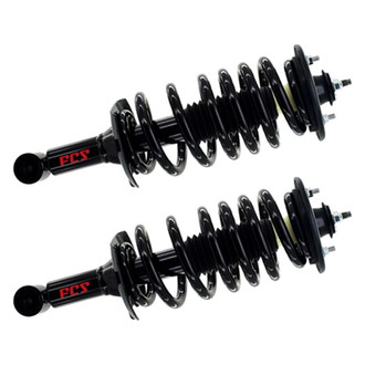 FCS® - Rear Complete Strut Assembly Set