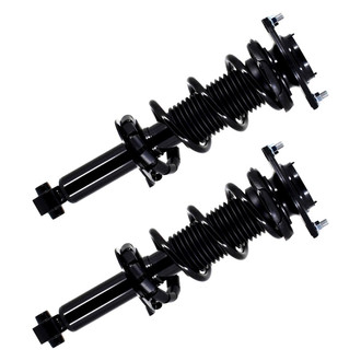 FCS® - Rear Complete Strut Assembly Set