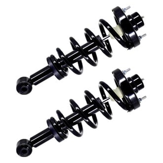 FCS® - Rear Complete Strut Assembly Set