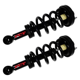 FCS® - Rear Complete Strut Assembly Set