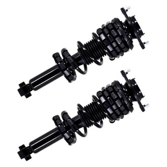 FCS® - Rear Complete Strut Assembly Set