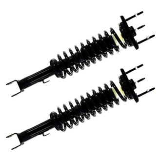 FCS® - Rear Complete Strut Assembly Set