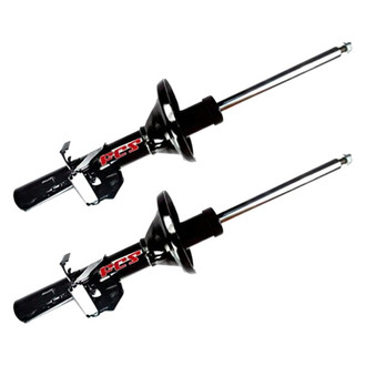 FCS® - Rear Strut Set