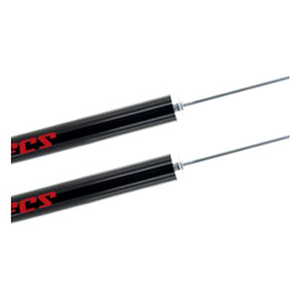 FCS® - Rear Shock Absorber Set