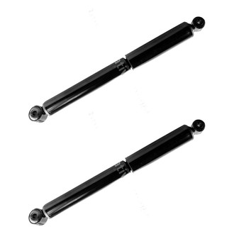 FCS® - Rear Shock Absorber Set