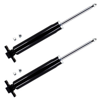 FCS® - Rear Shock Absorber Set