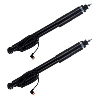 FCS® - Rear Shock Absorber Set