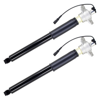 FCS® - Rear Shock Absorber Set