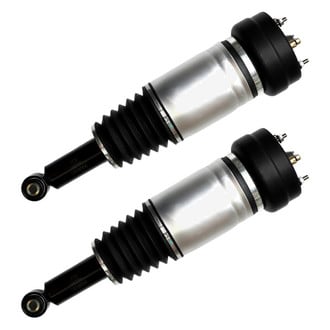 FCS® - Rear Air Non-Adjustable Strut Set