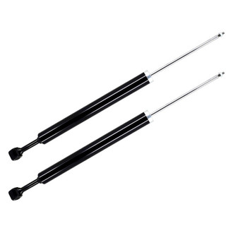 FCS® - Rear Shock Absorber Set
