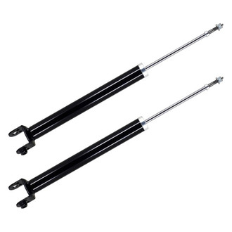 FCS® - Rear Shock Absorber Set