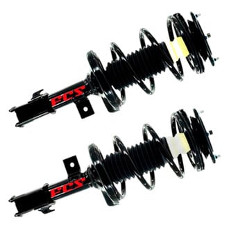 FCS® - Complete Strut Assembly