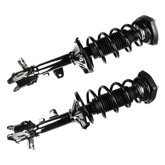 FCS® - Rear Complete Strut Assembly Set