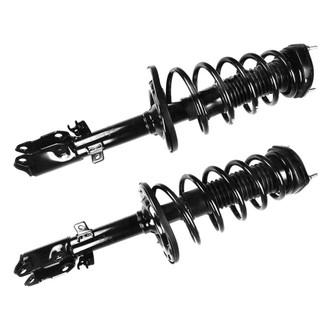 FCS® - Rear Complete Strut Assembly Set