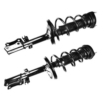 FCS® - Rear Complete Strut Assembly Set