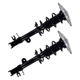 FCS® - Rear Complete Strut Assembly Set