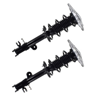 FCS® - Rear Complete Strut Assembly Set