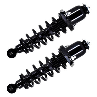 FCS® - Rear Complete Strut Assembly Set