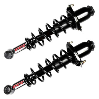 FCS® - Rear Complete Strut Assembly Set