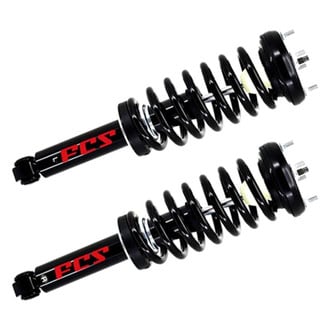 FCS® - Rear Complete Strut Assembly Set