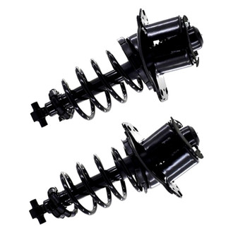 FCS® - Rear Complete Strut Assembly Set
