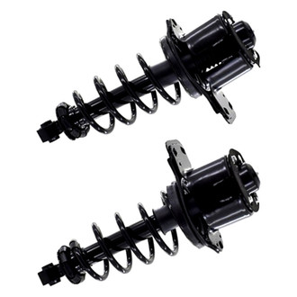 FCS® - Rear Complete Strut Assembly Set