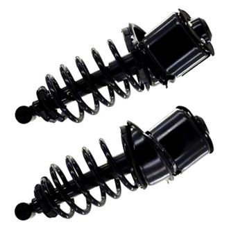 FCS® - Rear Complete Strut Assembly Set