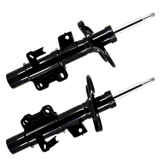FCS® - Front Strut Set
