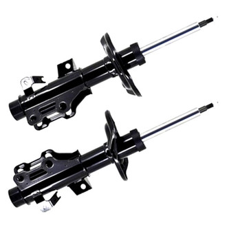 FCS® - Bare Shocks and Struts