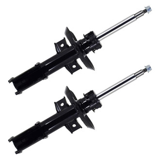 FCS® - Front Strut Set