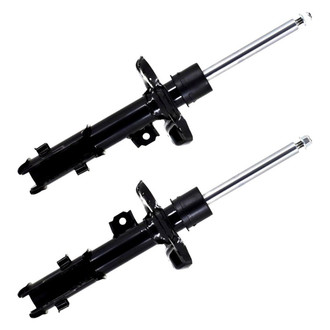 FCS® - Front Strut Set