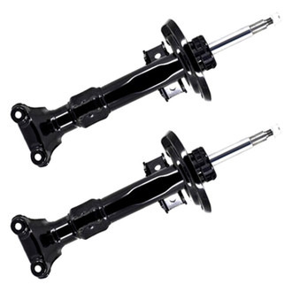 FCS® - Front Strut Set