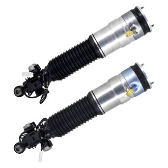 FCS® - Rear Air Non-Adjustable Strut Set