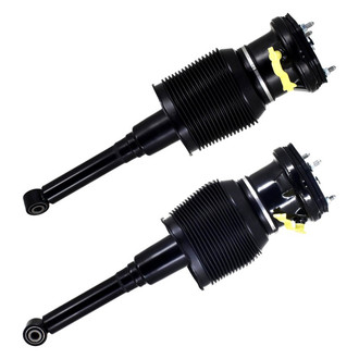 FCS® - Rear Air Non-Adjustable Strut Set