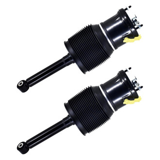 FCS® - Front Air Non-Adjustable Strut Set