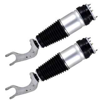 FCS® - Front Air Non-Adjustable Strut Set