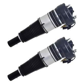 FCS® - Front Air Non-Adjustable Strut Set