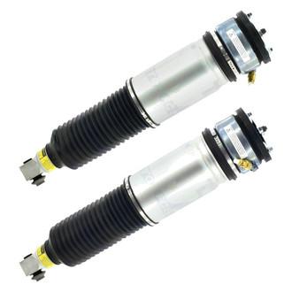 FCS® - Rear Air Non-Adjustable Strut Set