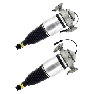 FCS® - Rear Air Non-Adjustable Strut Set