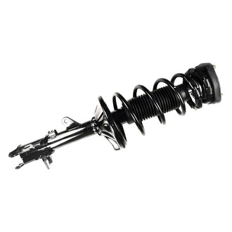FCS® - Rear Passenger Side Complete Strut Assembly