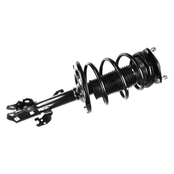 FCS® - Front Passenger Side Complete Strut Assembly