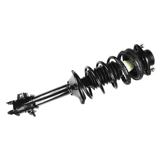 FCS® - Rear Passenger Side Complete Strut Assembly