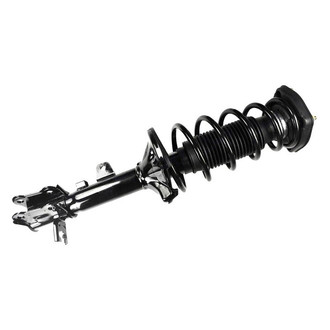 FCS® - Rear Passenger Side Complete Strut Assembly