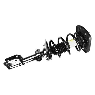 FCS® - Rear Passenger Side Complete Strut Assembly