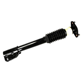 FCS® - Rear Driver or Passenger Side Complete Strut Assembly