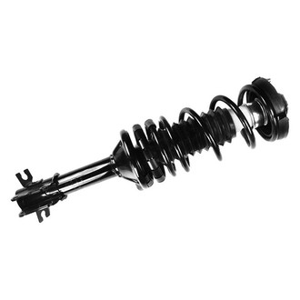 FCS® - Rear Driver or Passenger Side Complete Strut Assembly