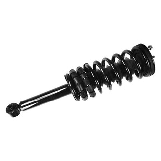 FCS® - Rear Driver or Passenger Side Complete Strut Assembly