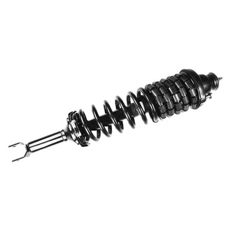 FCS® - Rear Passenger Side Complete Strut Assembly