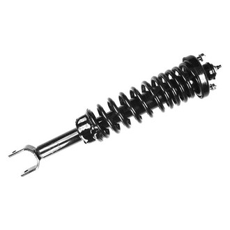 FCS® - Rear Driver or Passenger Side Complete Strut Assembly